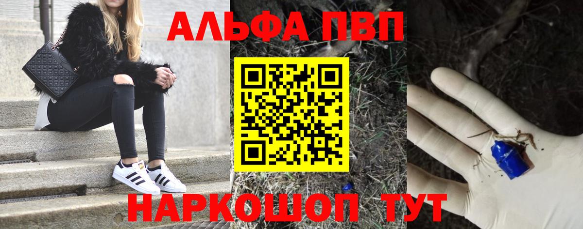 APVP СК Саратов