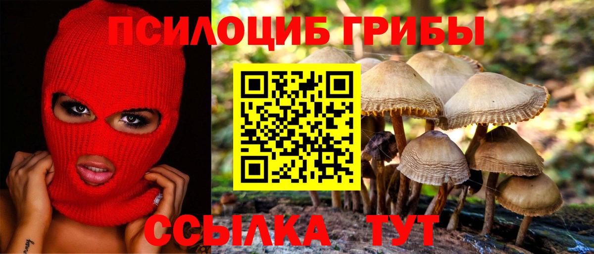 Псилоцибиновые грибы Cubensis  купить закладку  Саратов  Вход с VPN  Псилоцибиновые грибы Magic Shrooms 