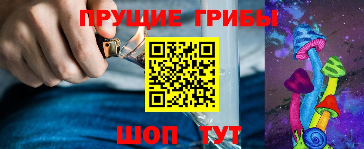 Псилоцибиновые грибы Psilocybe Саратов
